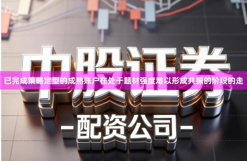 已完成策略定型的成熟账户在处于题材强度难以形成共振的阶段的走