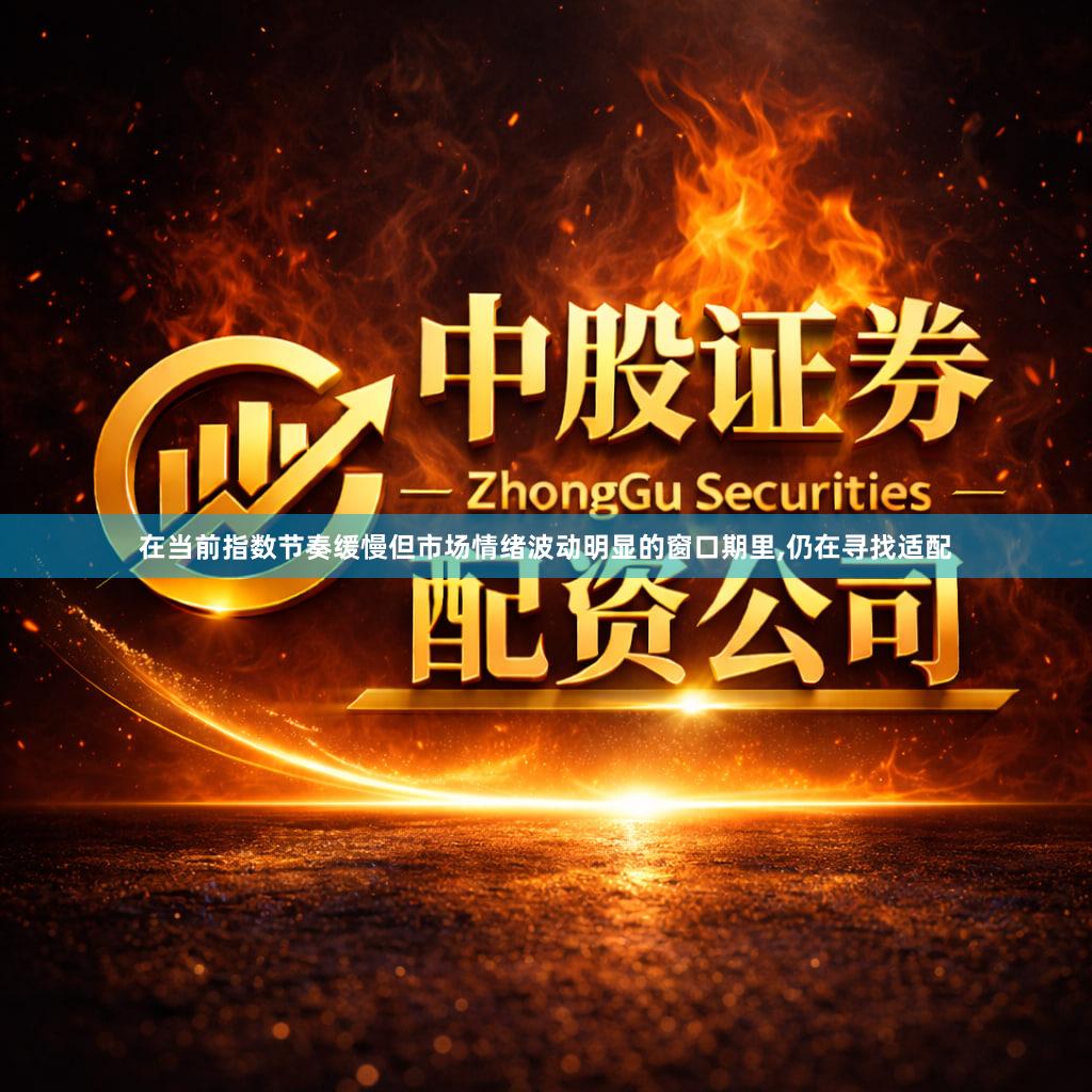 在当前指数节奏缓慢但市场情绪波动明显的窗口期里,仍在寻找适配